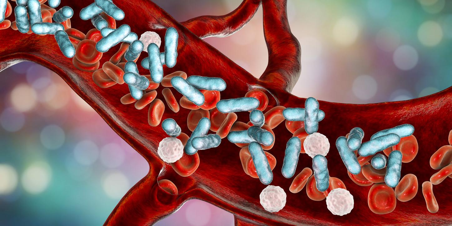 Cancer du pancréas : le microbiote a un impact sur l'efficacité du traitement oral