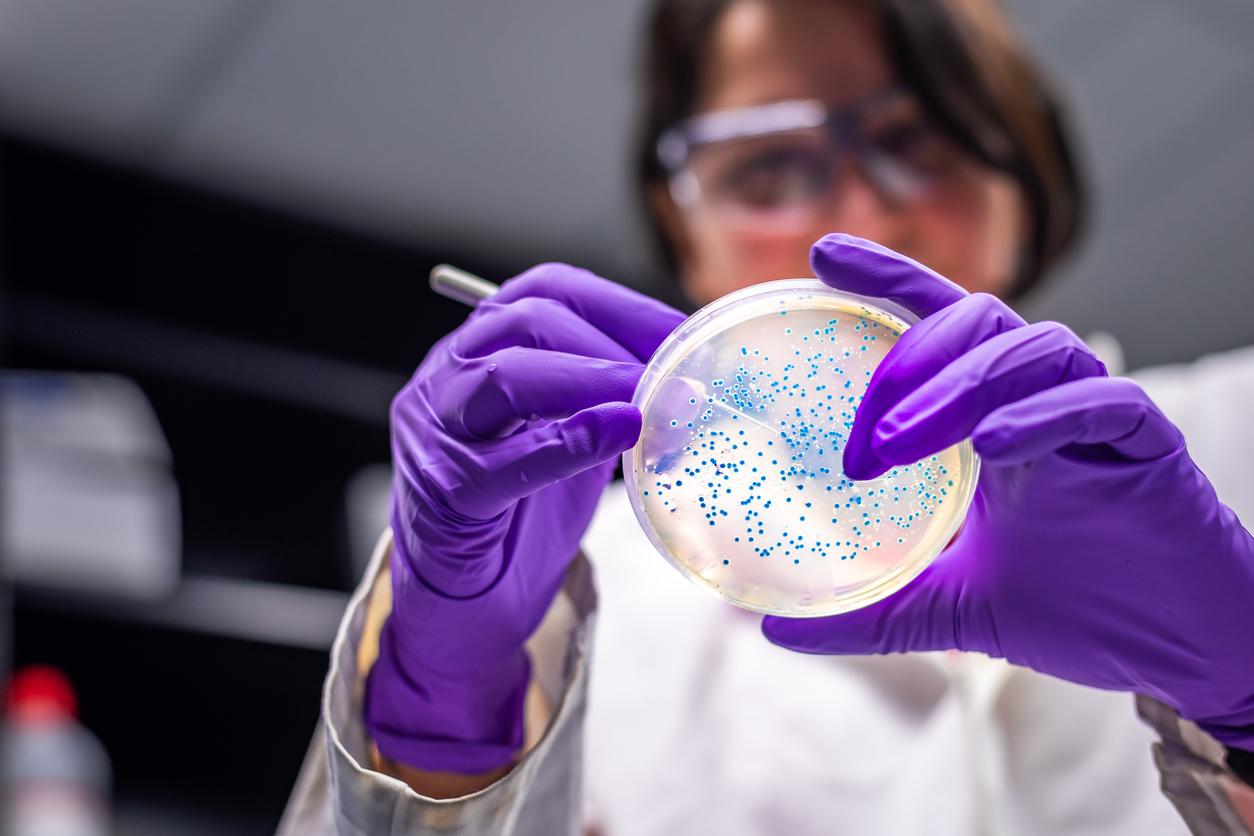 Microplastics and antibiotic resistance: an underestimated risk