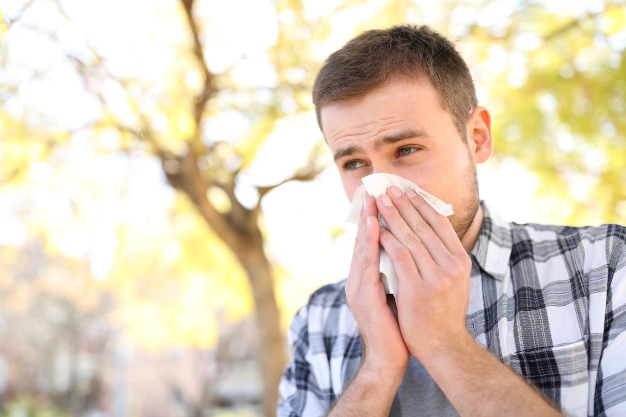 Pollens : les trois quarts de la France en alerte rouge