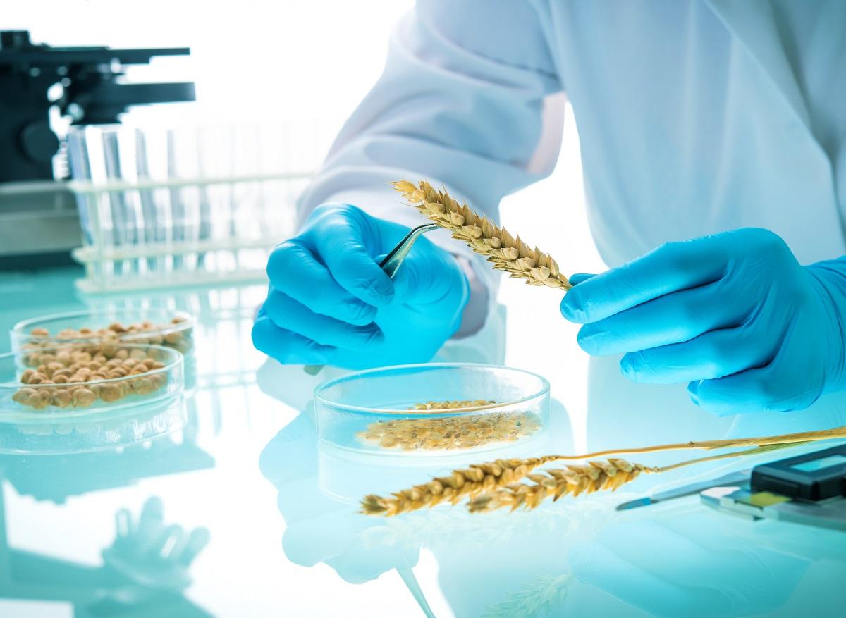 Food of the Future: The Promises and Controversies of Biotech Foods