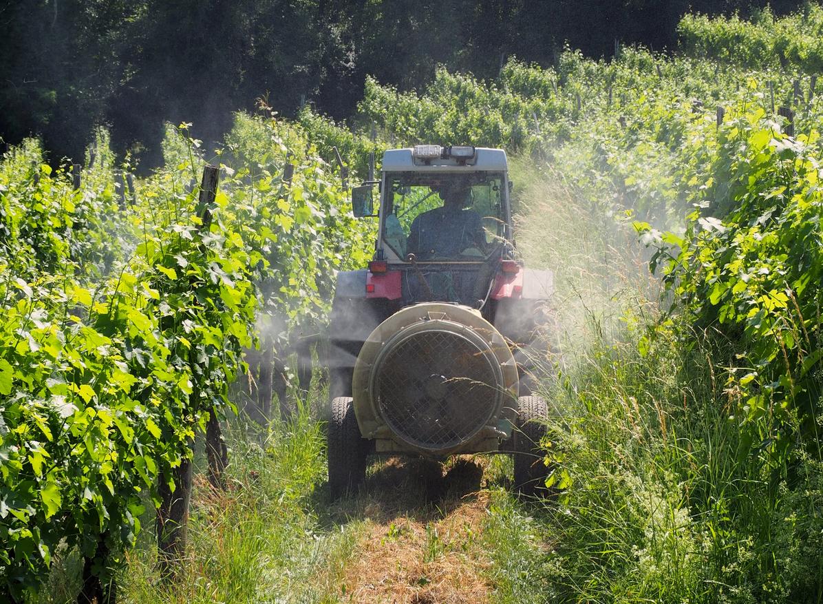 Les pesticides élèvent autant le risque de certains cancers que le tabagisme