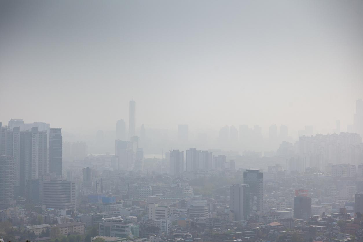 How air pollution contributes to cognitive impairment