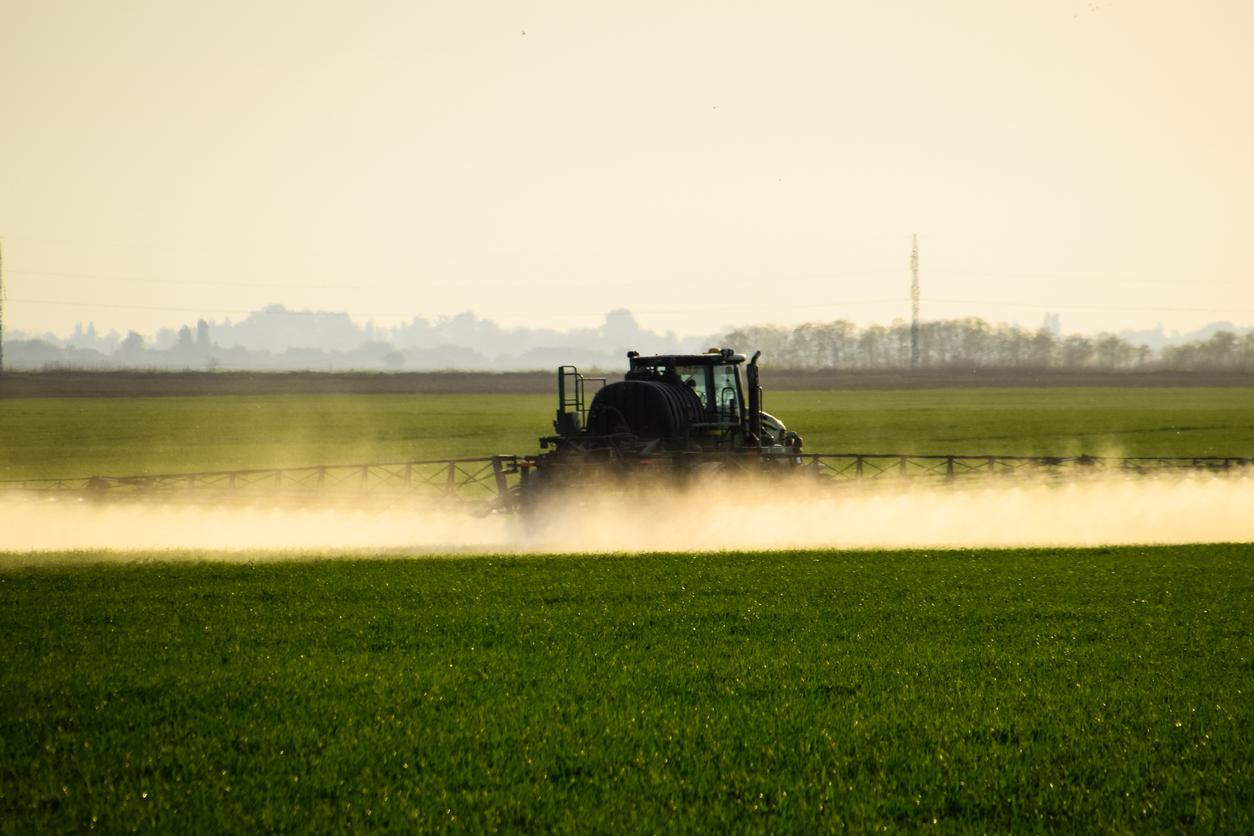 Glyphosate could cause lasting brain damage