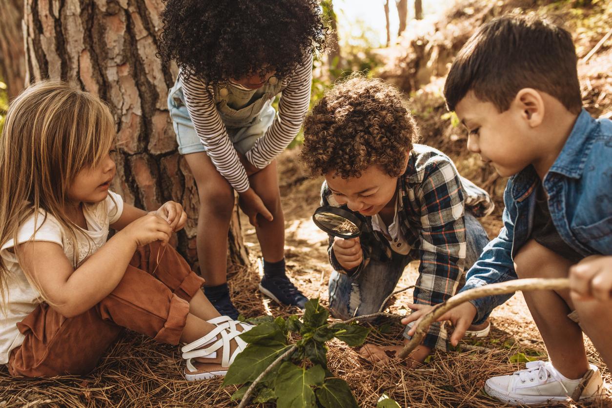 Santé mentale : la nature fait du bien aux enfants 