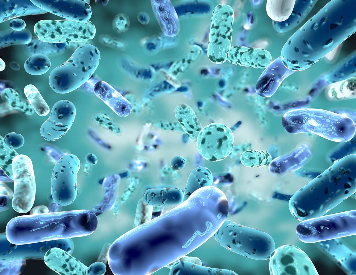 ADHD: A new study suggests that gut microbes play a role