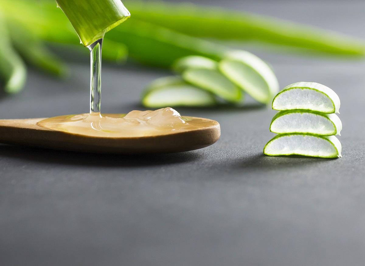 What is Aloe Vera?