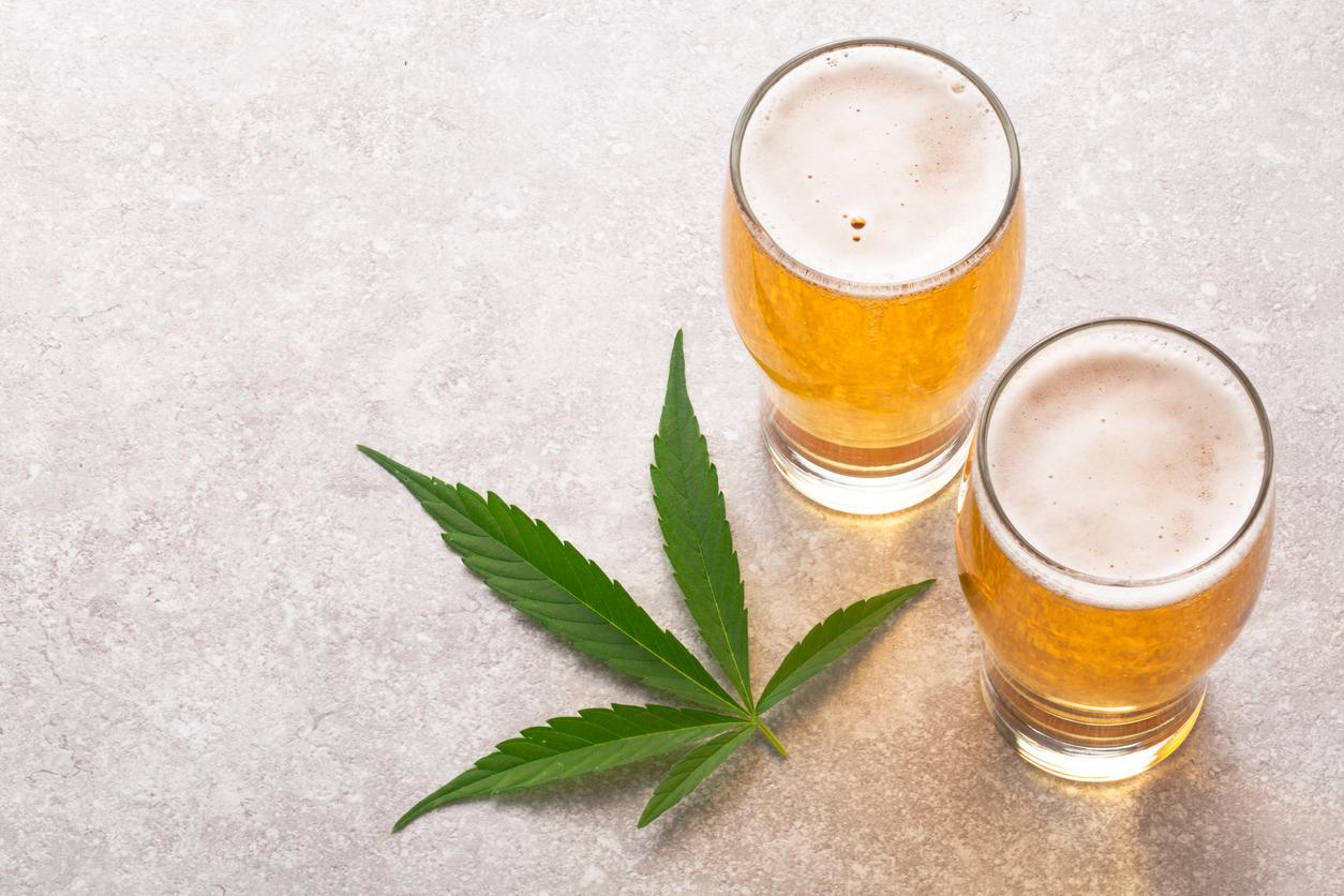 Alcool : et si le CBD pouvait réduire l’envie de boire ? 