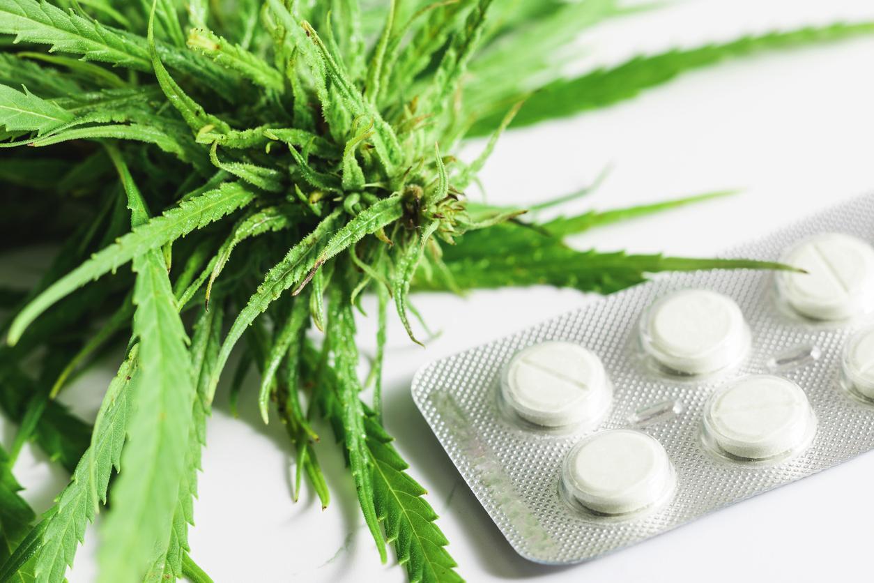 CBD et médicaments : gare aux associations dangereuses