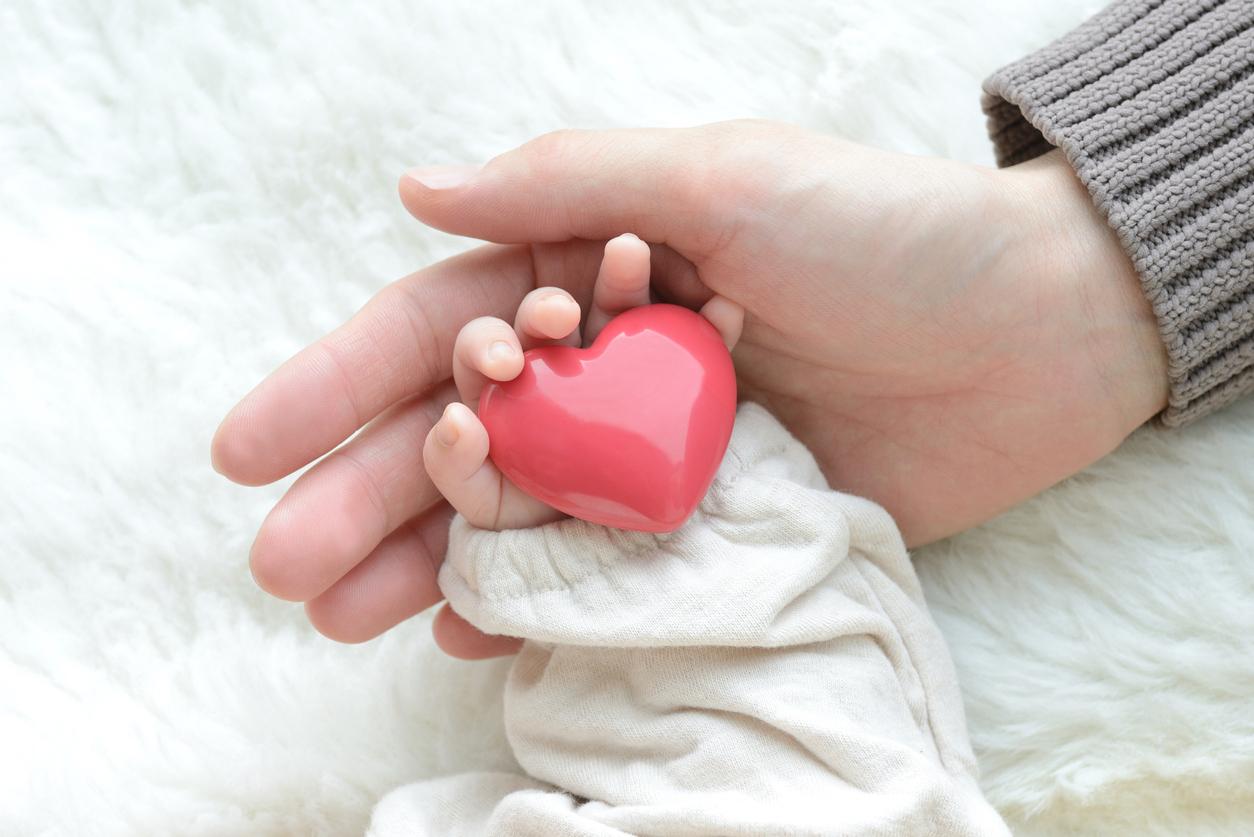 Lésion cardiaque : pourquoi les bébés guérissent mieux que les adultes ?