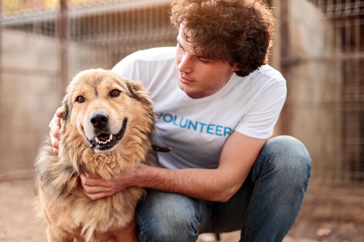 How service dogs help young people with diabetes