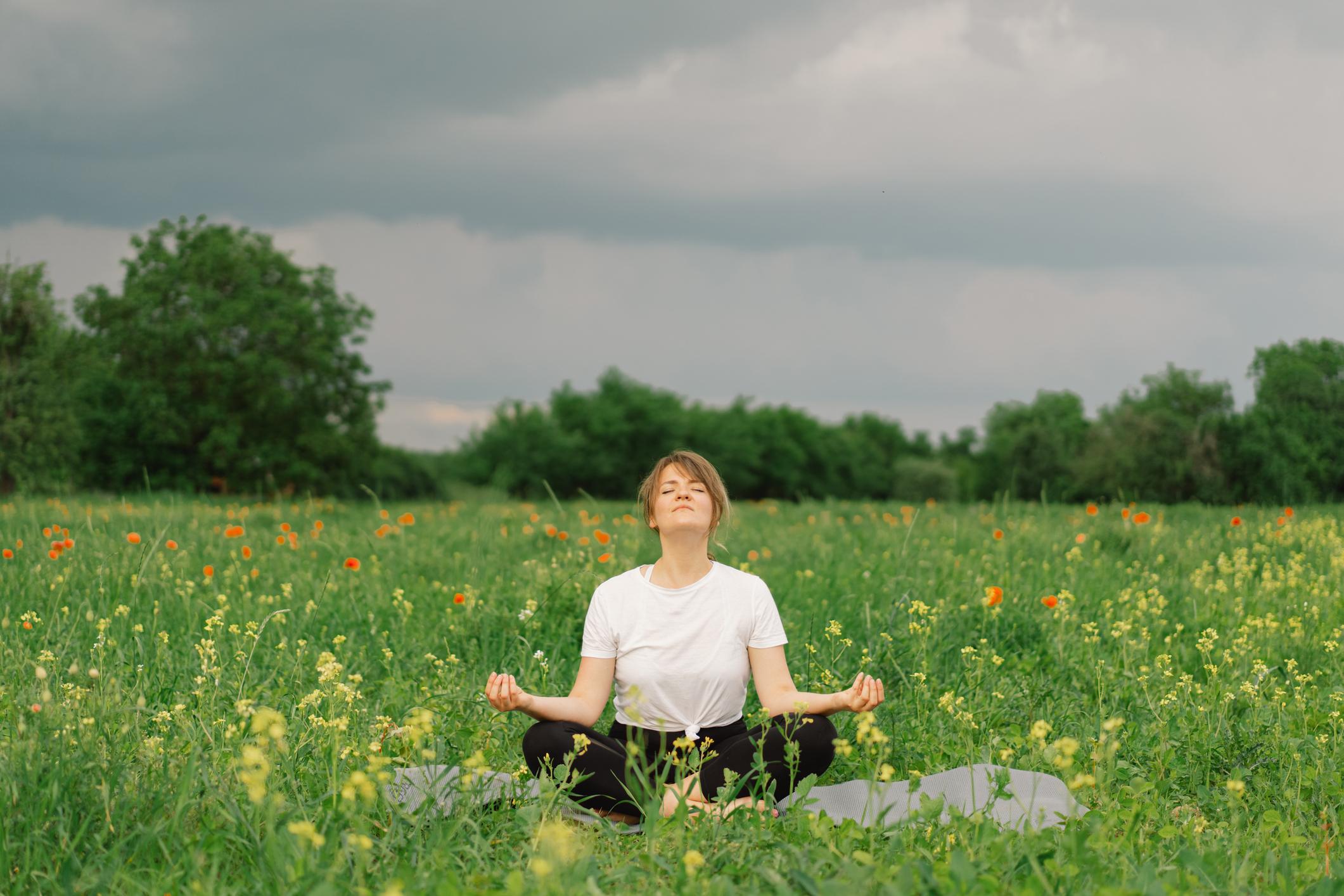 Méditation : un voyage au cœur du cerveau