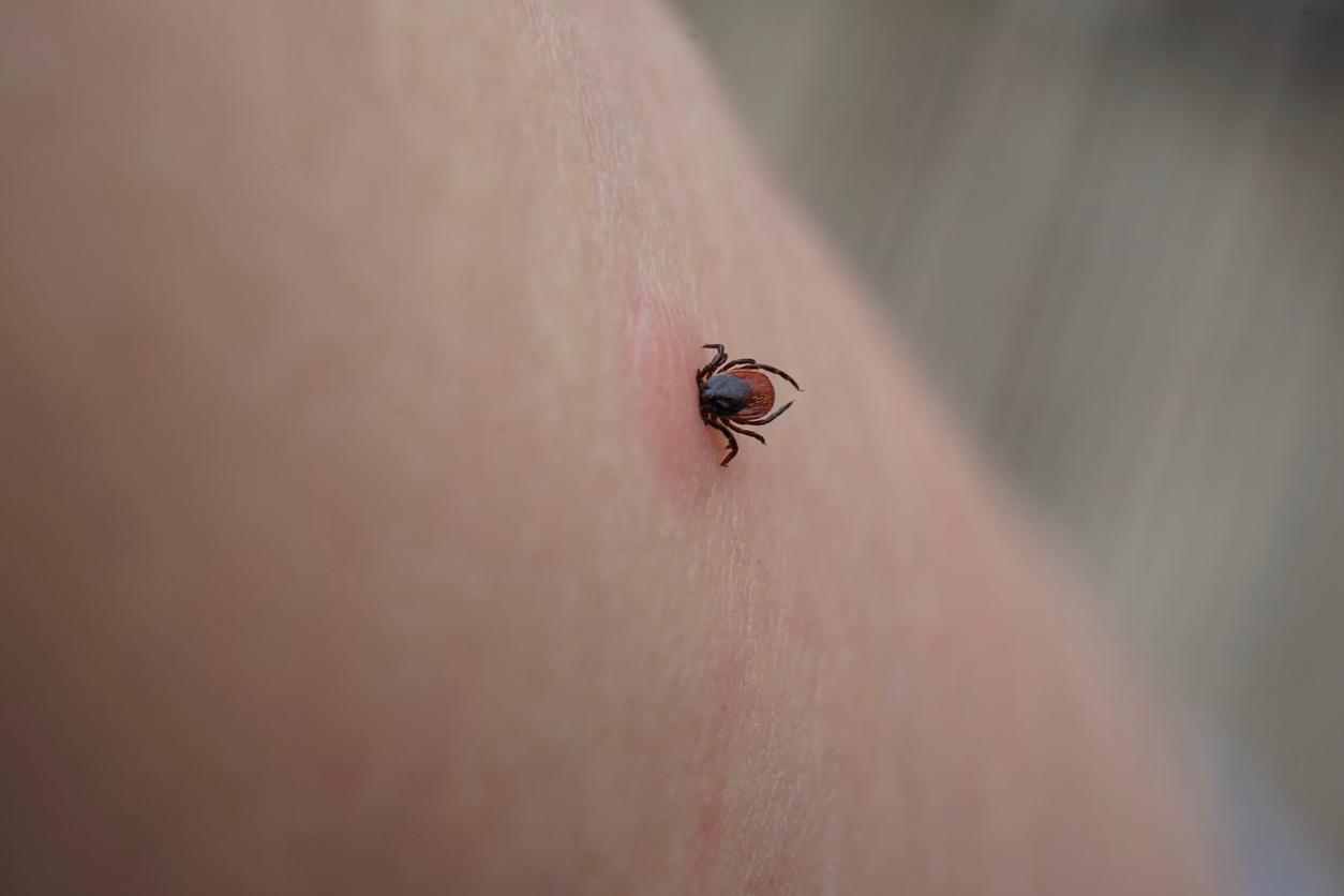 Lyme disease: a genetic predisposition involved?