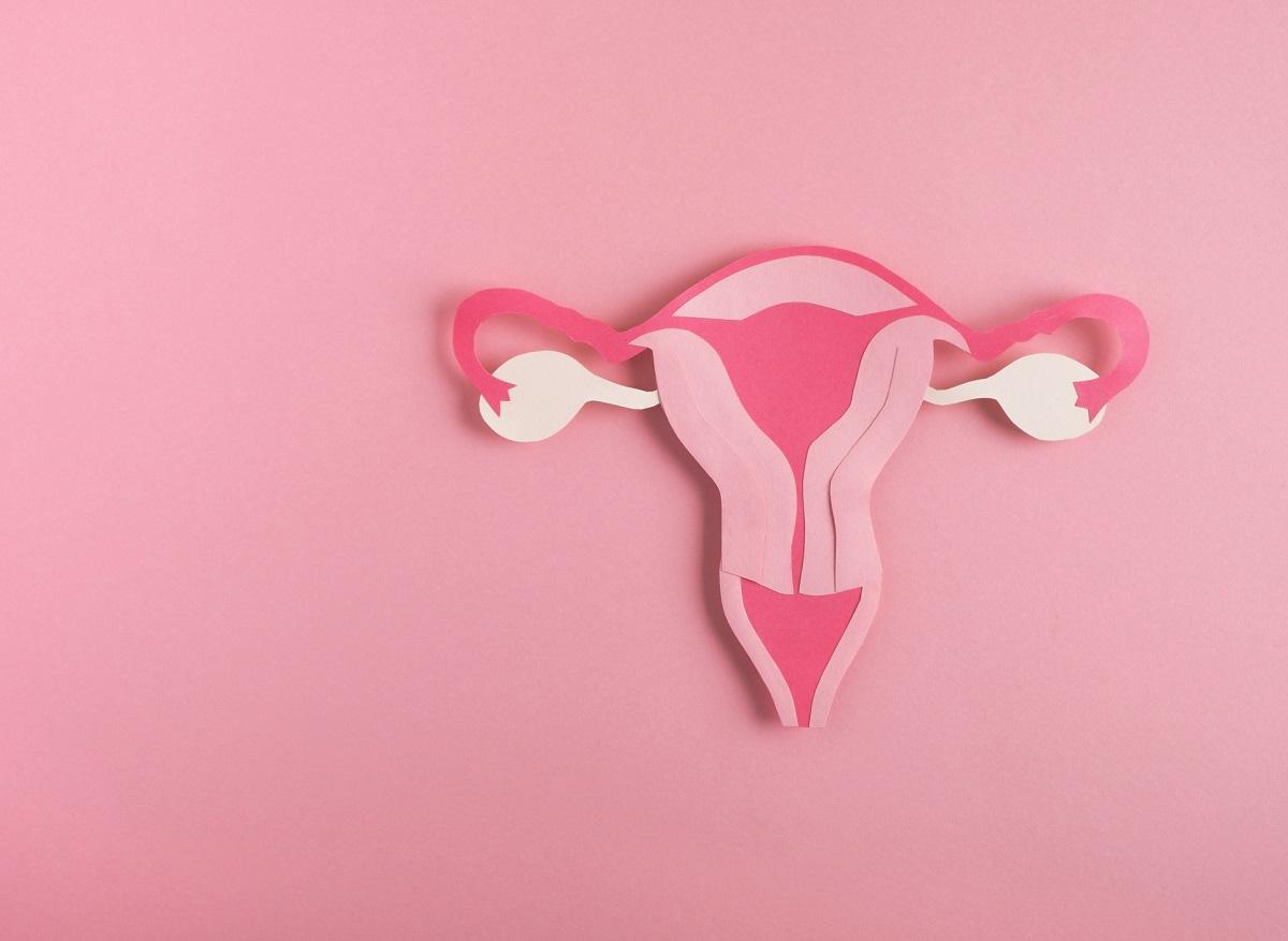 Vulvodynia: understanding it