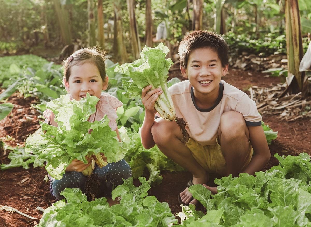 Eat sustainably, live better: an imperative for health and the environment