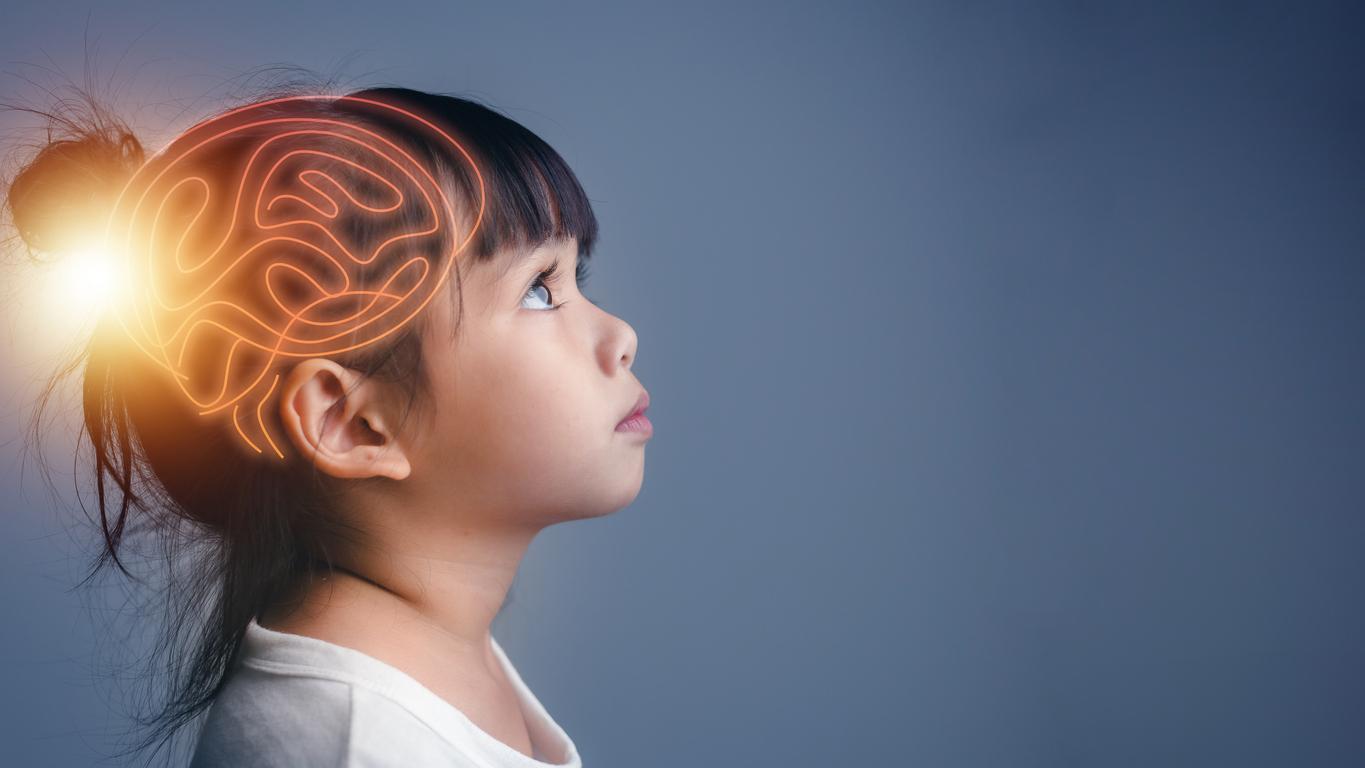 Air pollution affects children's brain development