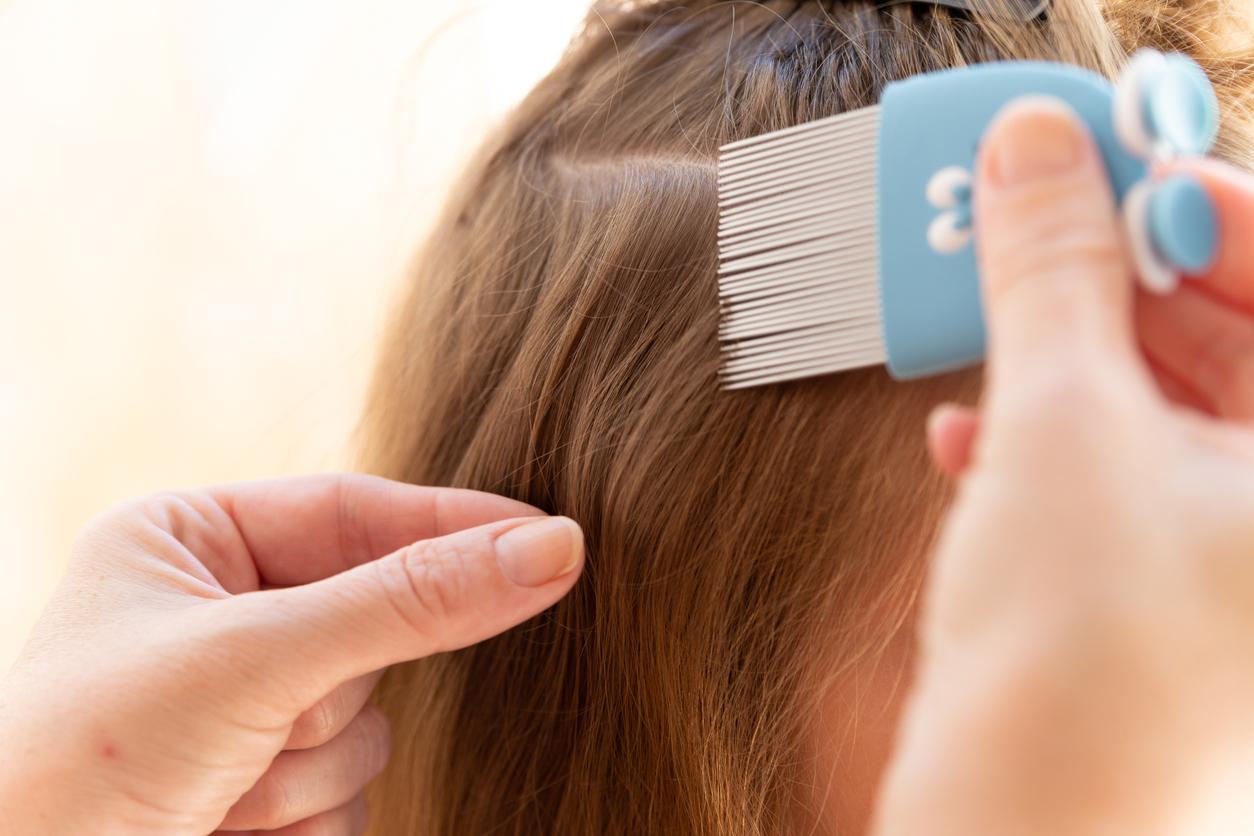 Back to school: how to get rid of lice?