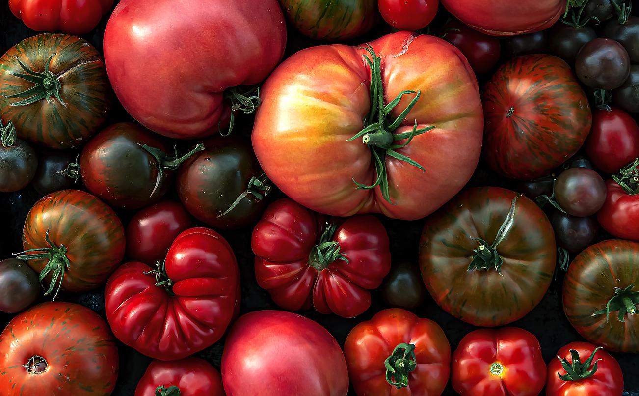 Manger des tomates prévient l'hypertension