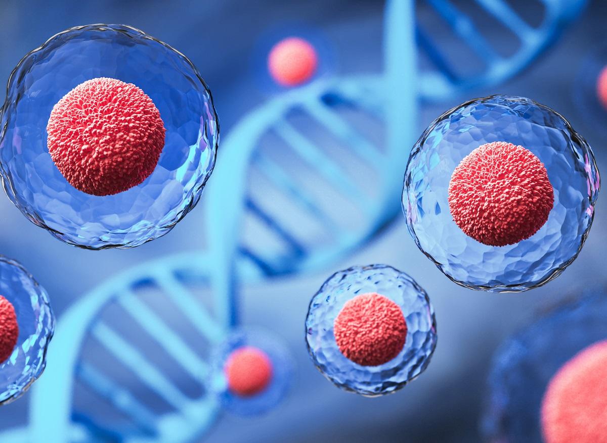 Cellules souches : révolution de la régénération tissulaire