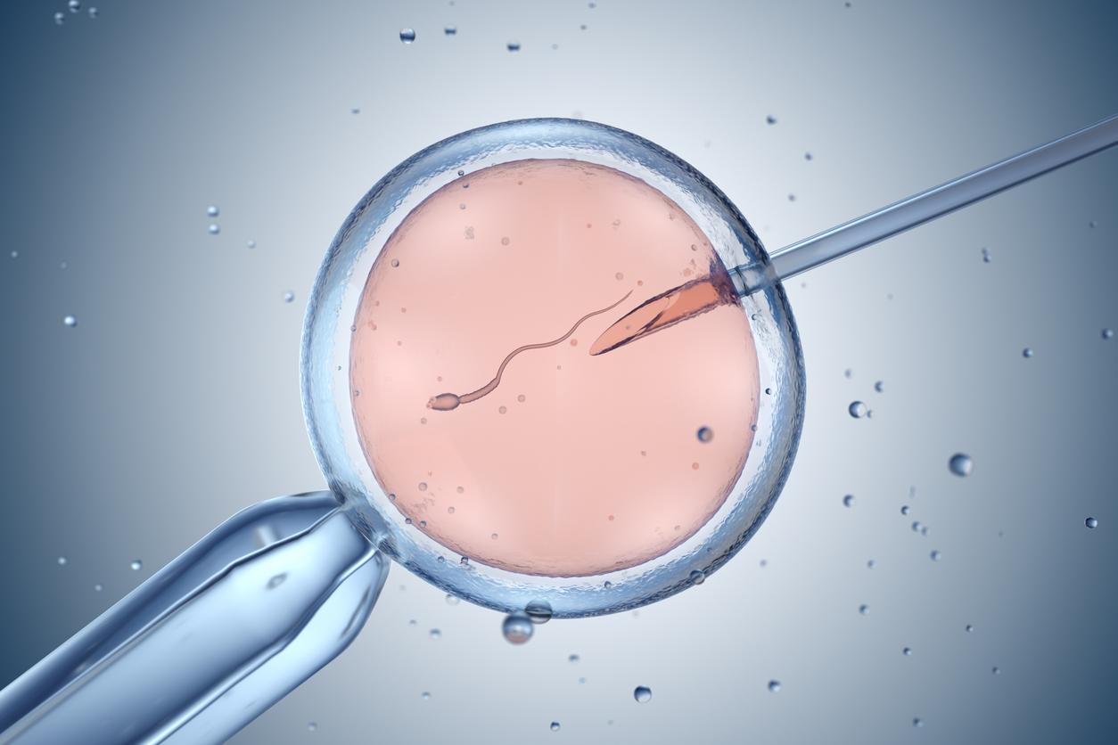 Heart defects: babies born from IVF have a higher risk