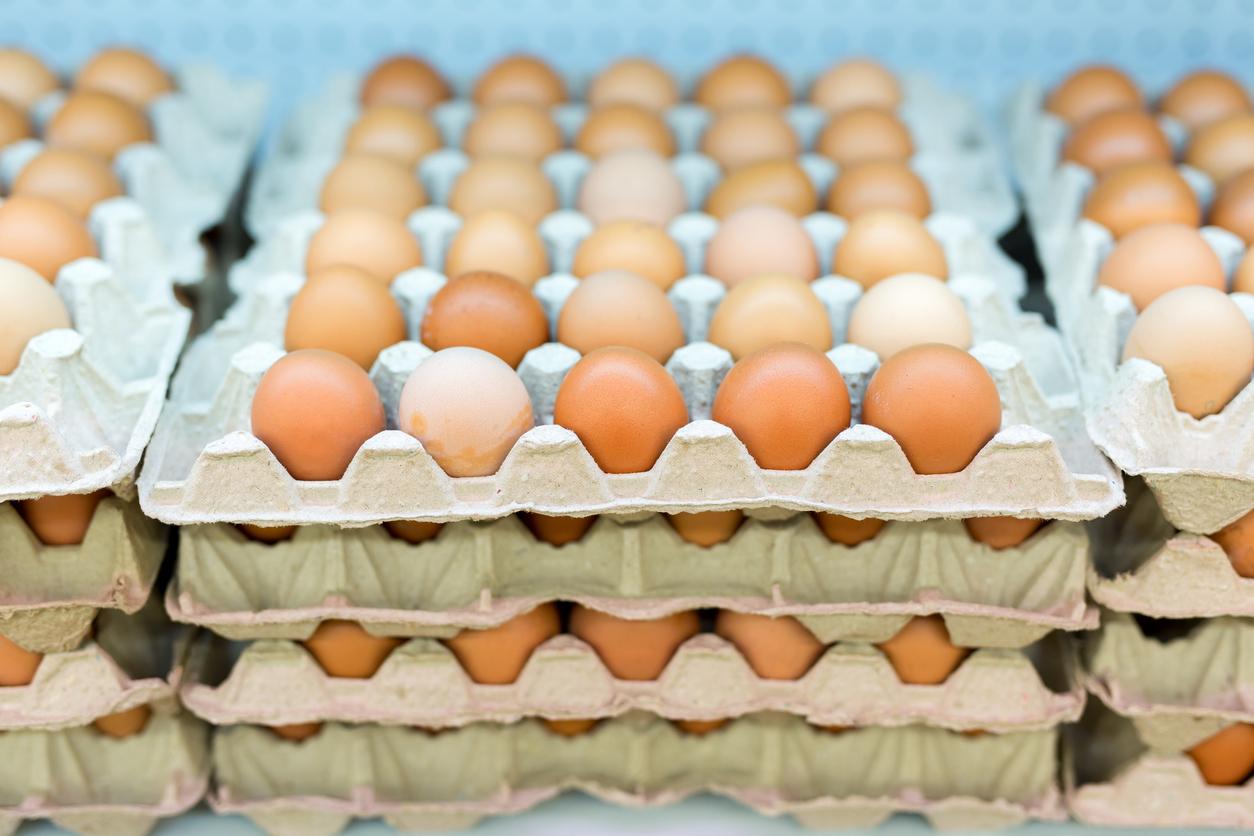 Salmonella: contaminated eggs recalled in several major brands