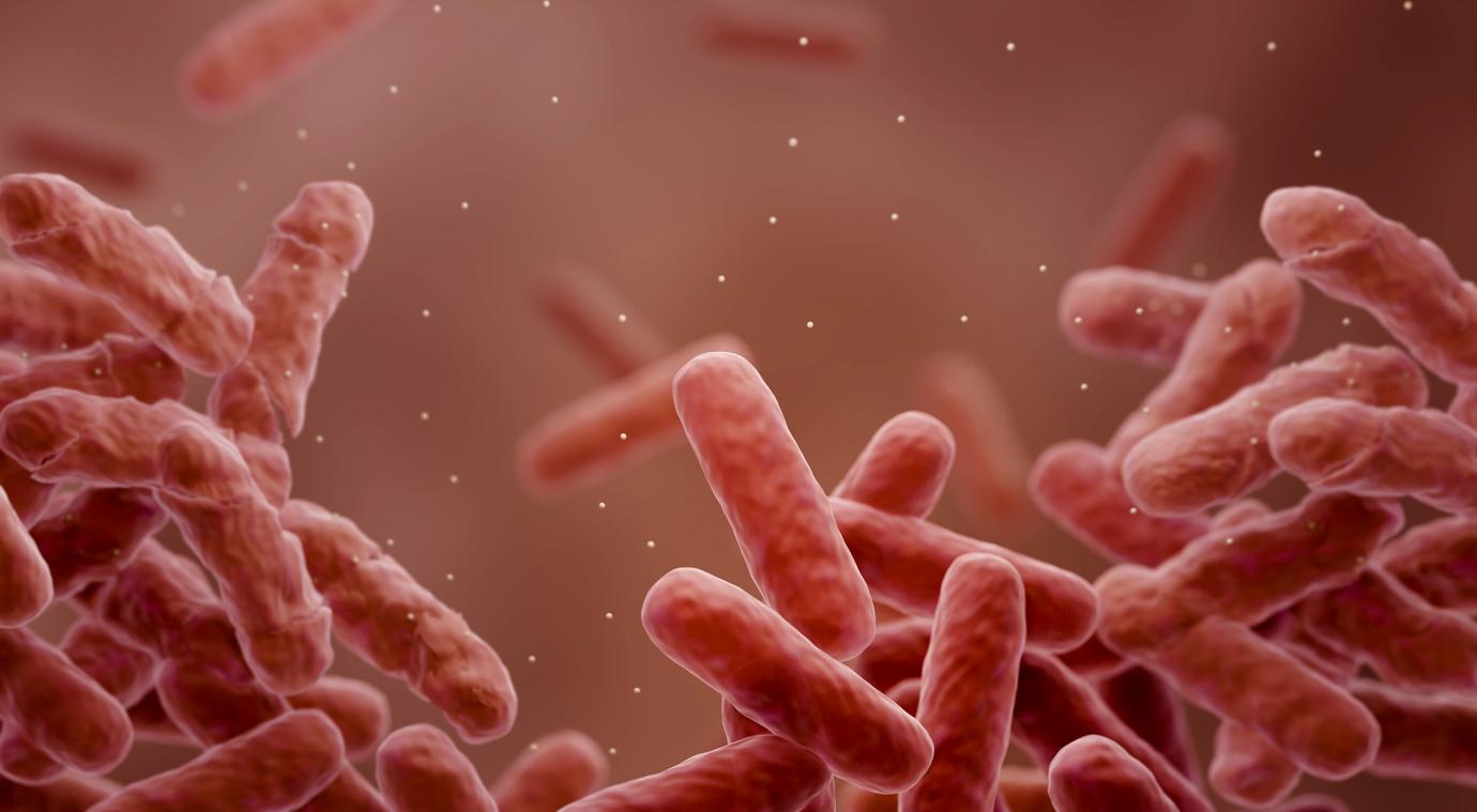 New drug could be effective against flesh-eating bacteria 