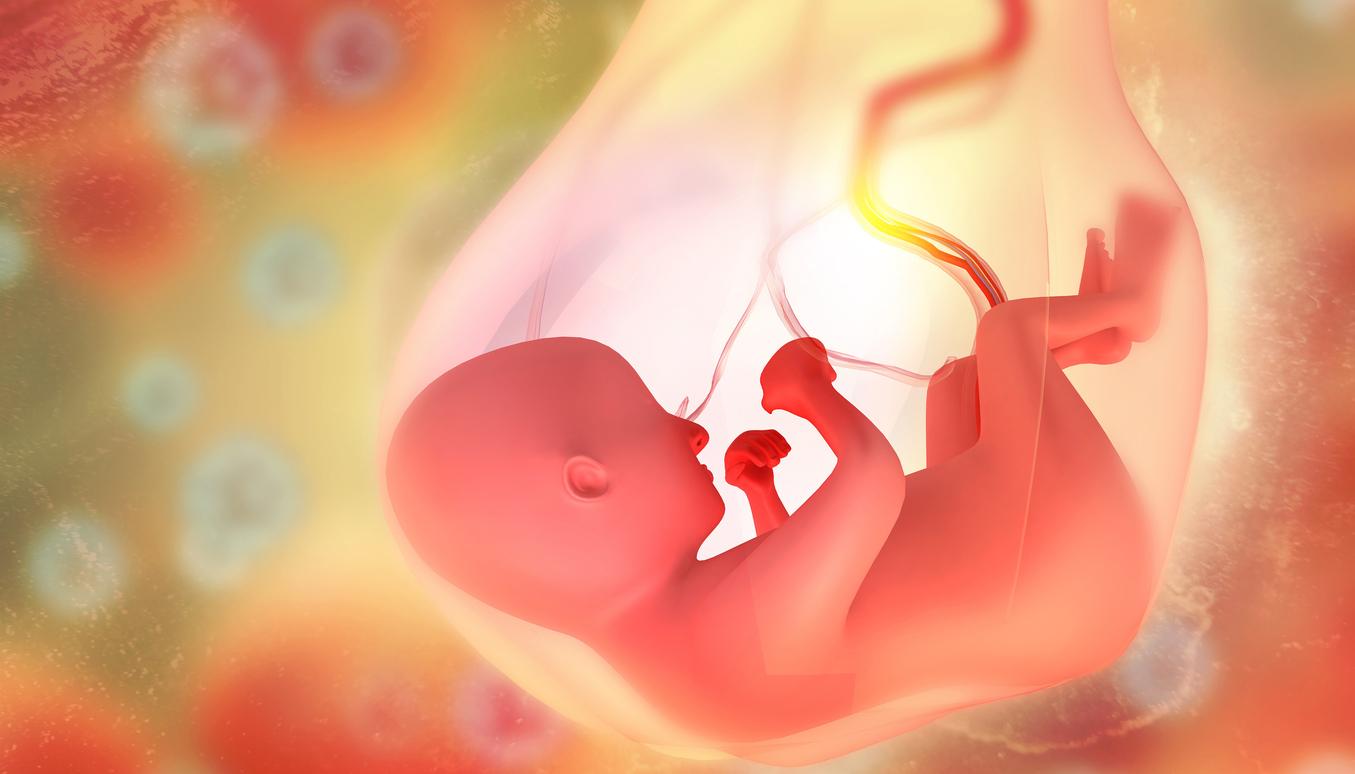 Autism: A larger brain in the womb could signal its onset 