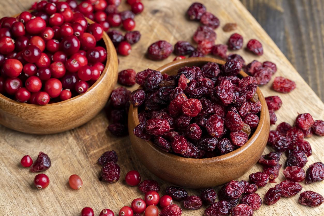 Cranberry Extracts Can Improve Gut Health in 4 Days