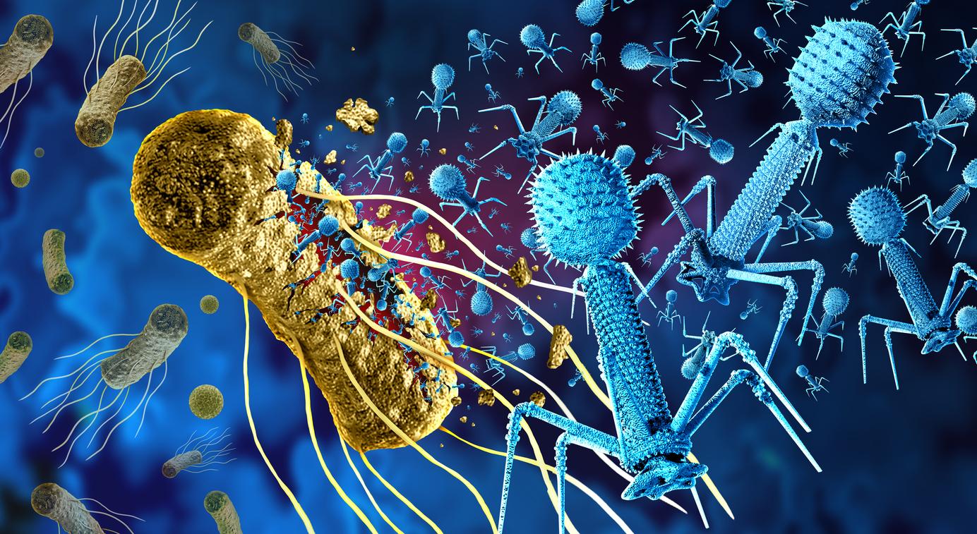 Antibiorésistance : et si, grâce à l'IA, les virus tueurs de bactéries étaient la solution ?