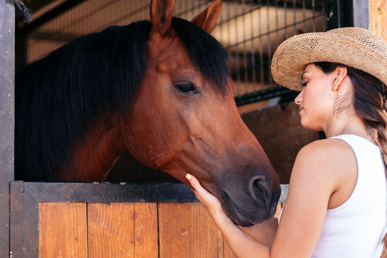 Horse Miscarriages Help Understand Human Miscarriages