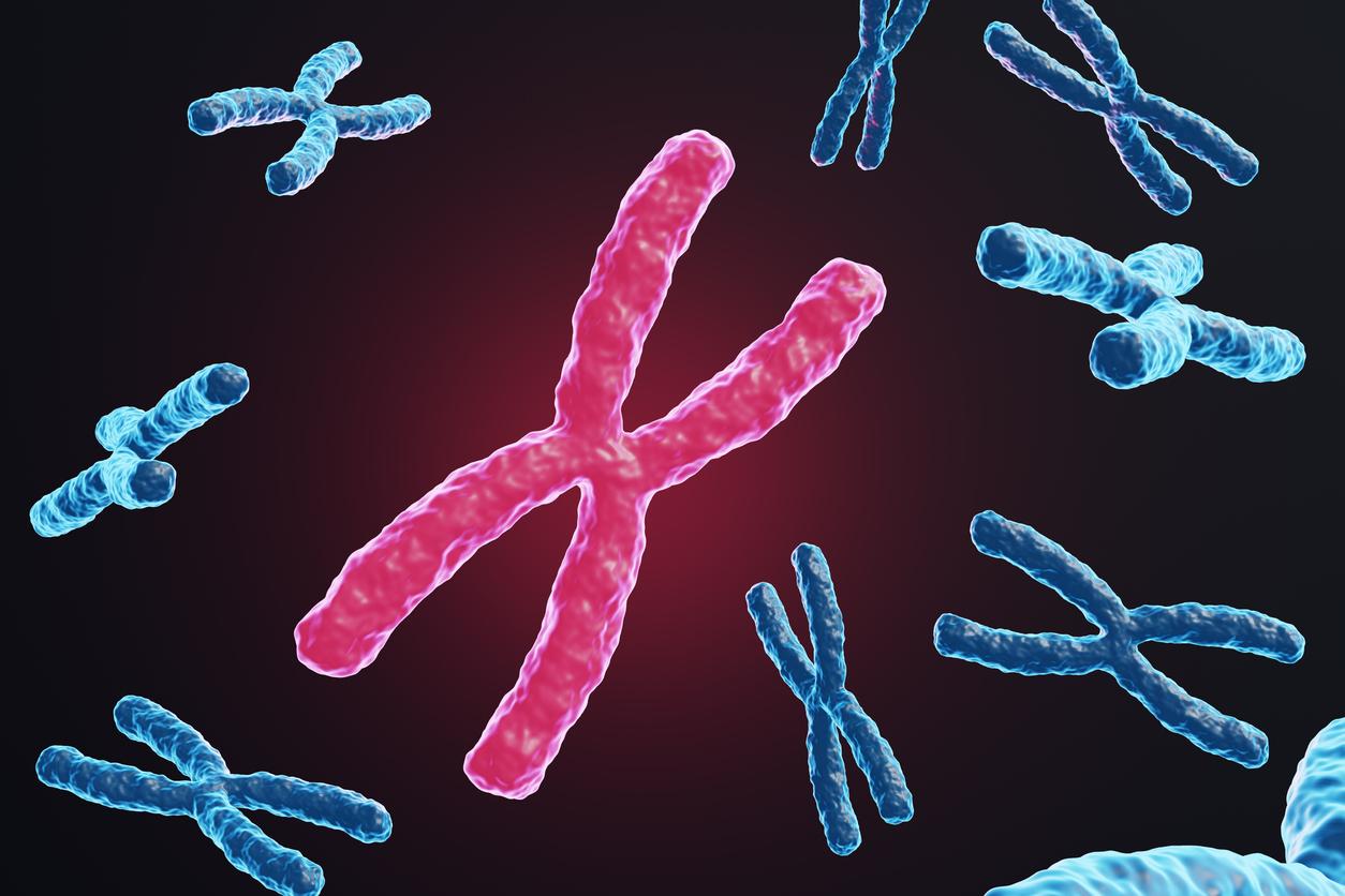 Vieillissement cérébral accéléré : le chromosome X de la mère en cause 