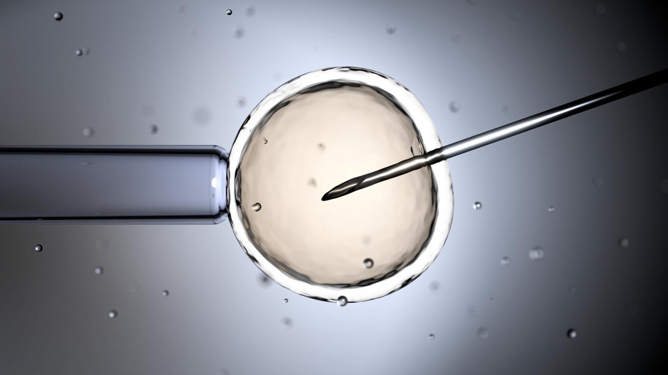 IVF: What embryos from the sperm of a donor can still be used?