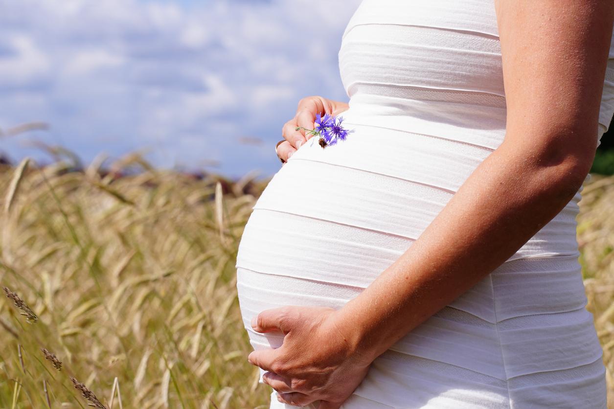 Changement climatique : les femmes enceintes de plus en plus exposées à un perturbateur endocrinien imitant les œstrogènes