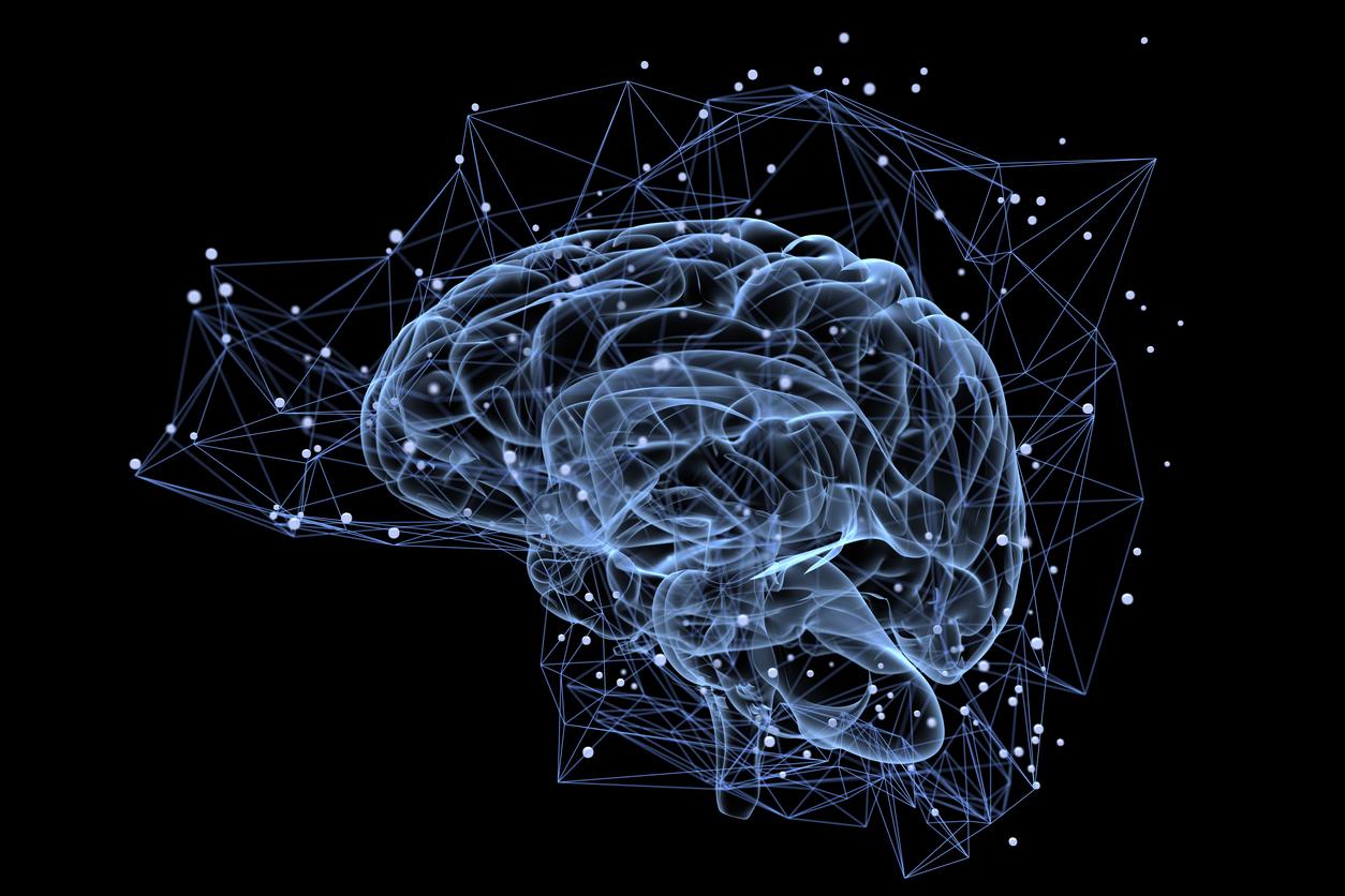 Troubles anxieux : des anomalies dans les synapses en cause ?