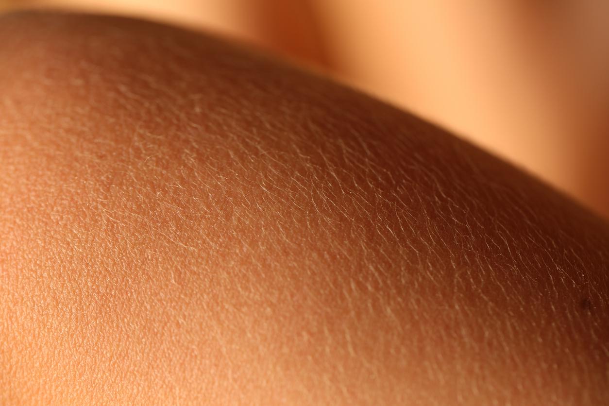 Mapping human skin to better treat burns and skin diseases?