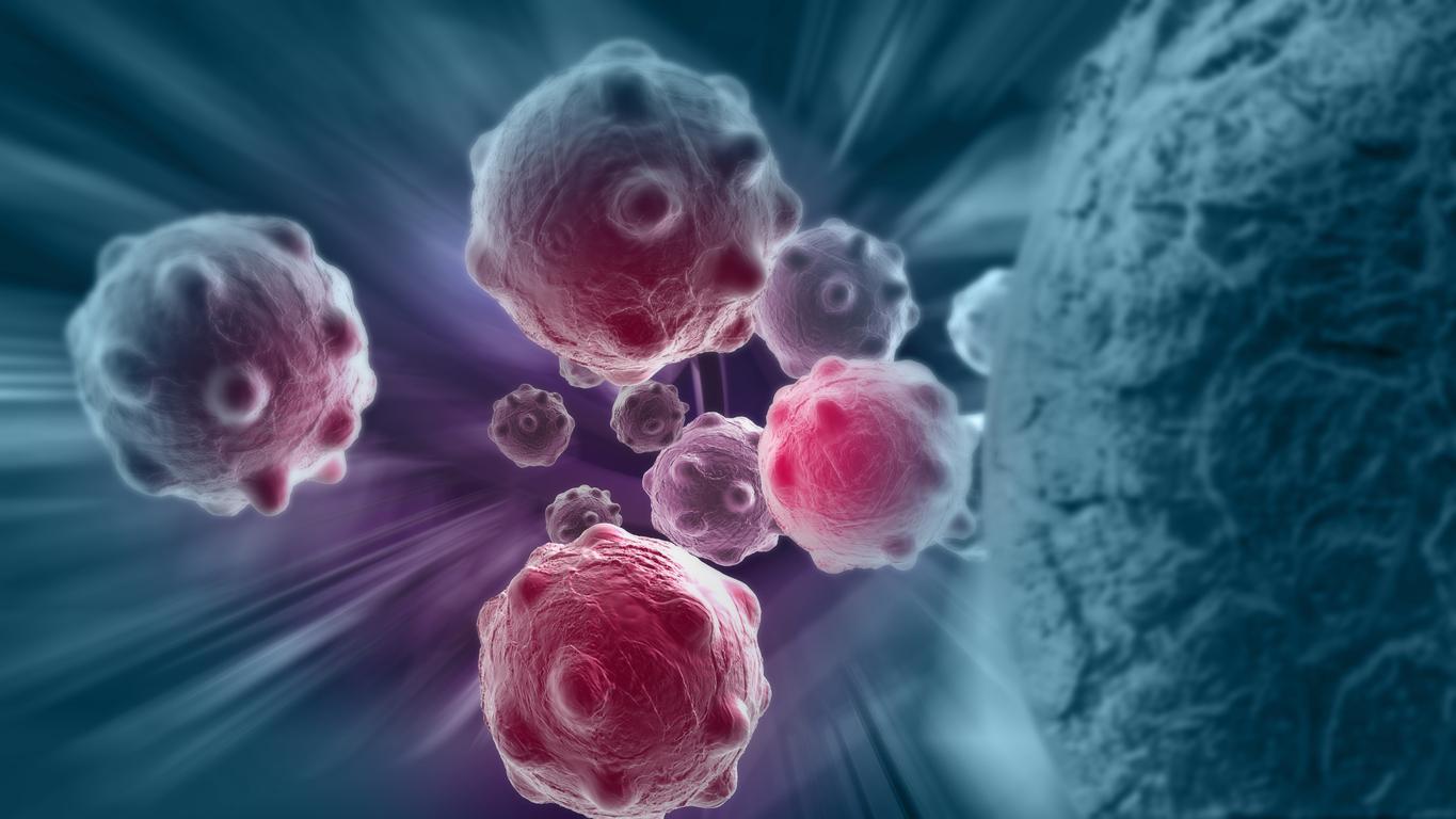 Blood cancers: a new vaccine method for more effective immunotherapy?