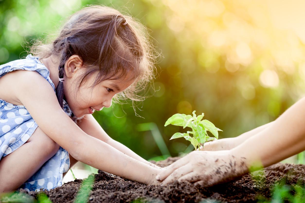 La nature améliore les capacités cognitives des enfants et des adolescents