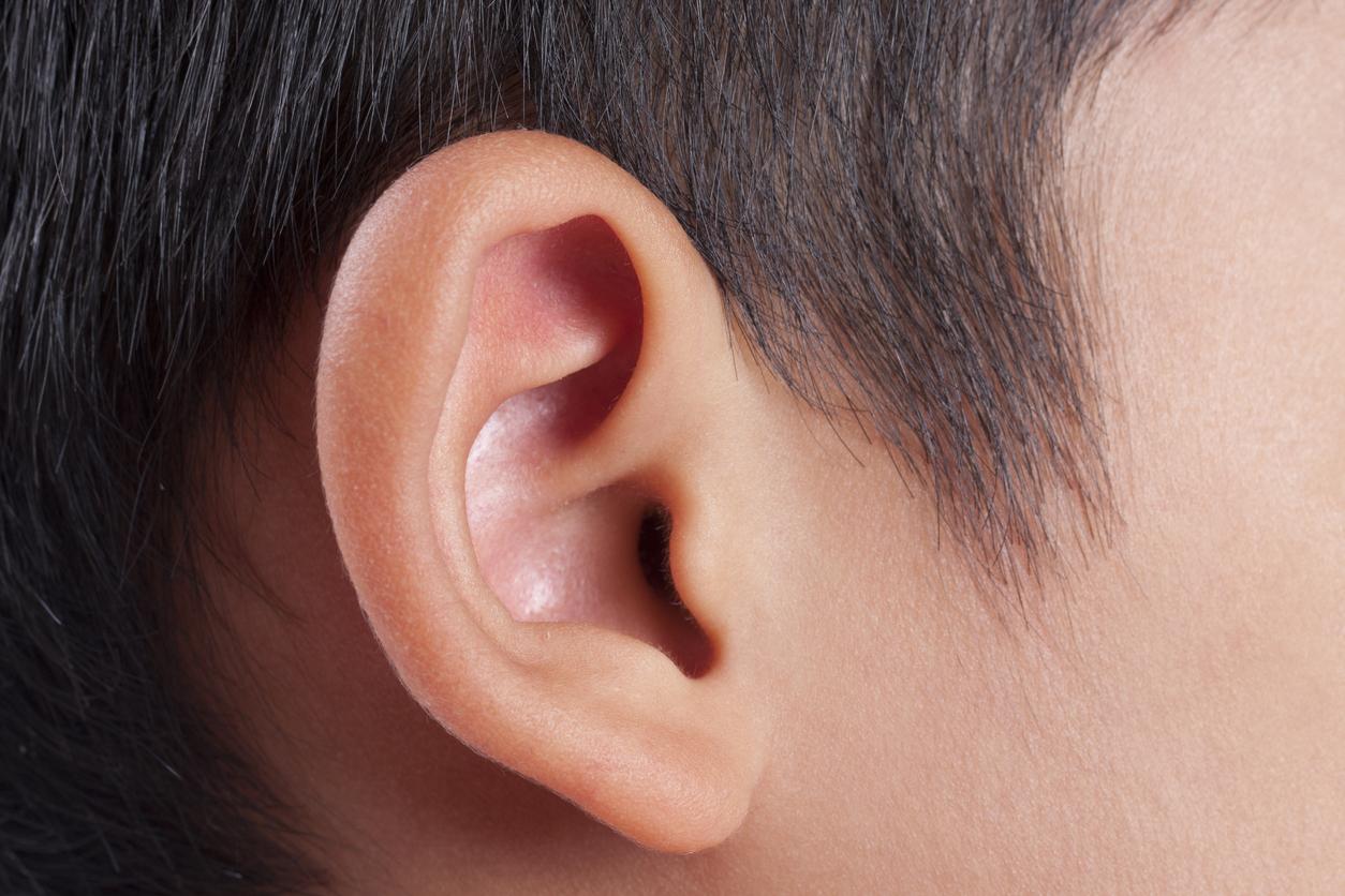 This faculty is rare but knowing how to move your ears improves listening capacity