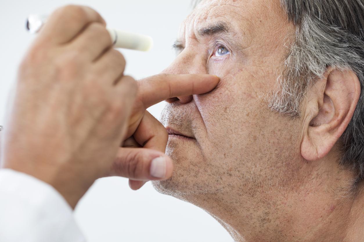 Cataracte : une étude menée sur des écureuils révèle une nouvelle stratégie pour la traiter