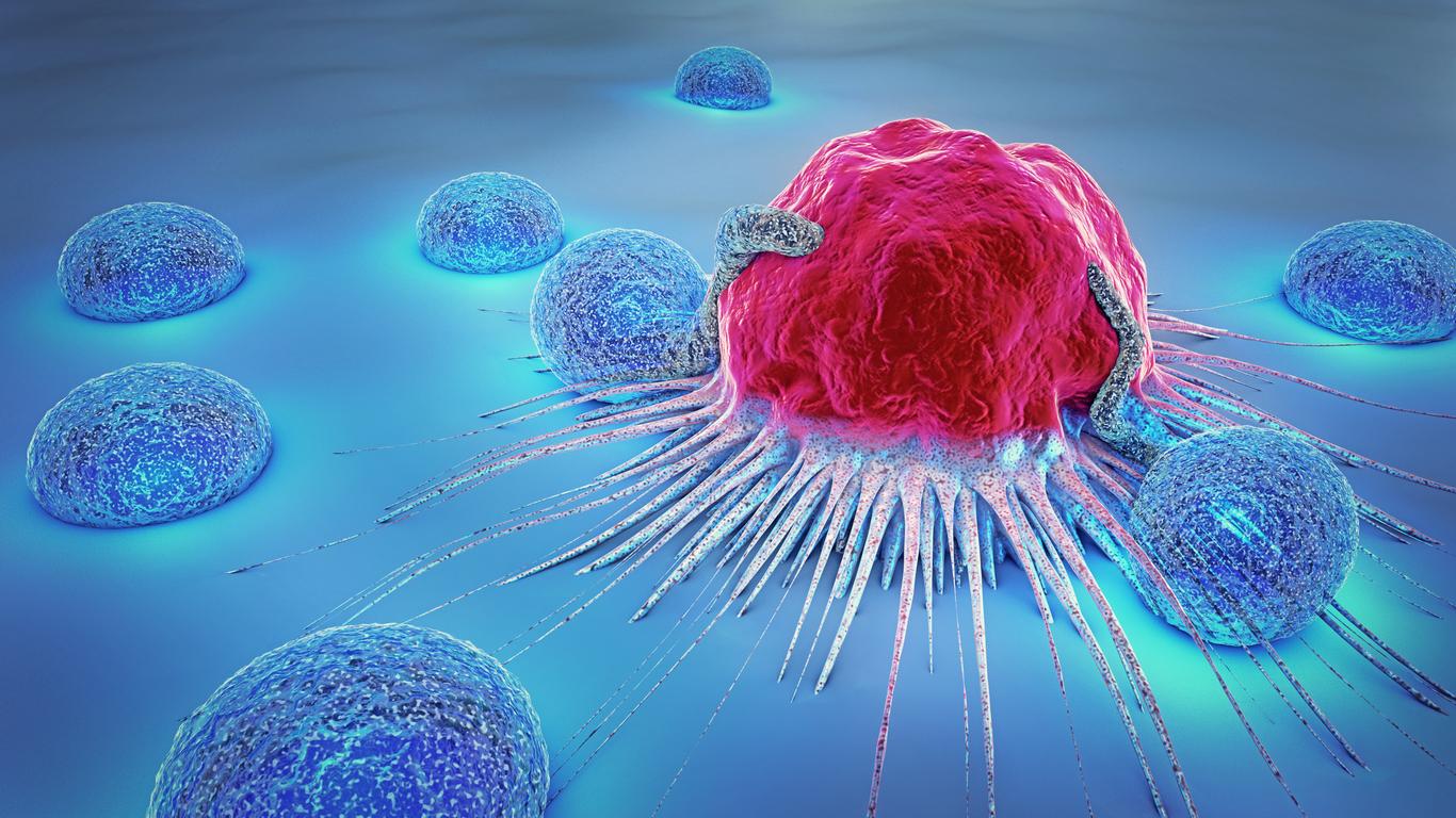 Des cellules immunitaires à l’origine de cancers identifiées