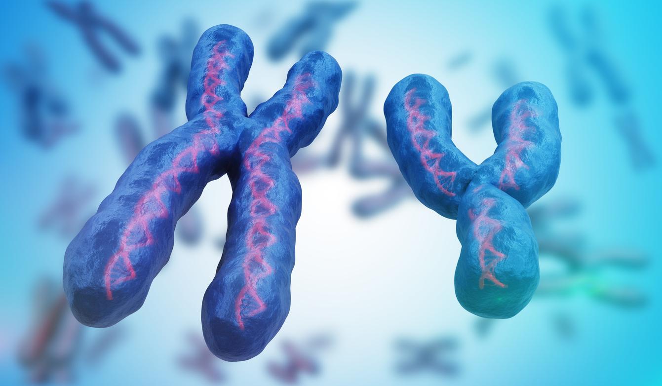 Autism: increased risk linked to the Y chromosome