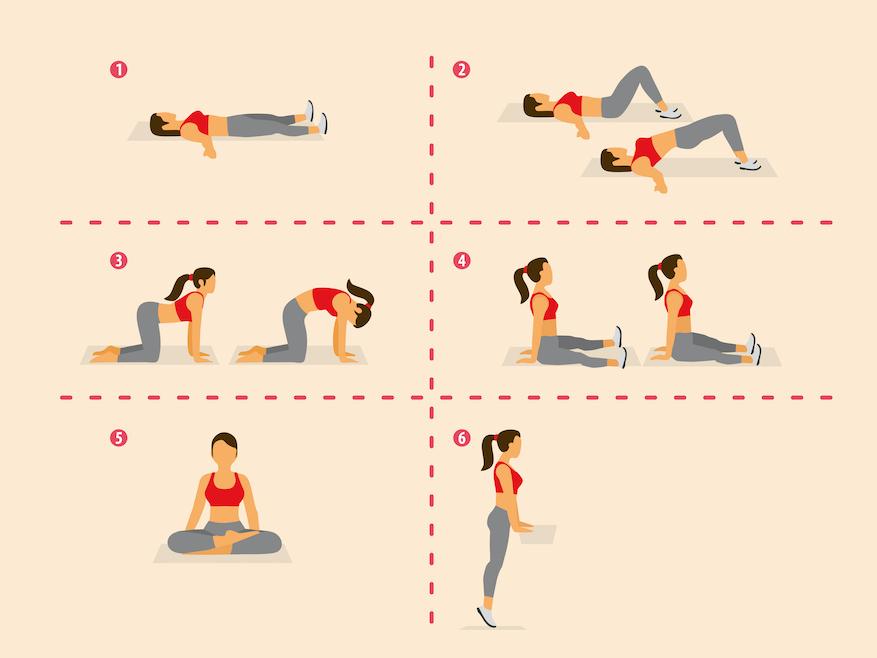 Le plancher pelvien : les meilleurs exercices pour se muscler !