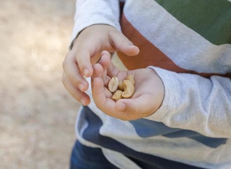 La pollution de l’air est liée aux allergies aux arachides pendant l’enfance