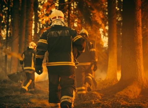 Feux de forêts : quels sont les risques pour la santé ?