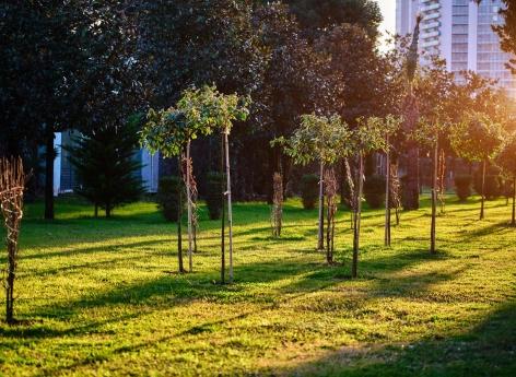 Vivre dans des espaces verts réduirait le niveau d’inflammation 