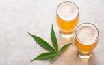 Alcool : et si le CBD pouvait réduire l’envie de boire ? 