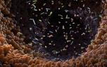 Quel est le rôle du microbiote dans l'évolution de certaines maladies neurodégénératives ?