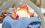 Naissance prématurée : un minuteur moléculaire en cause ?