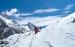 Les reins jouent un rôle crucial dans l'acclimatation à la haute altitude