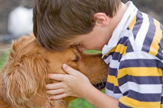 Maladie de Crohn : grandir avec un chien réduit les risques  