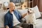 Stress post-traumatique : les vétérans qui ont un chien d’assistance ont moins de symptômes
